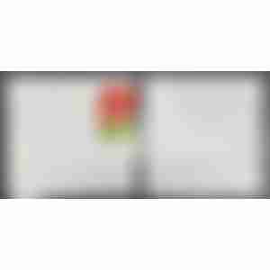 Набор салфеток 2шт (41х41см) Floral Season белый цвет Арт.W-2PKS036-3