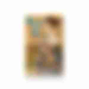 Мыло туалетное Kerasys Vital Energy 100г