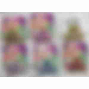 Краб для волос BEAUTELLA Bloom 4,5см арт.SPR-005