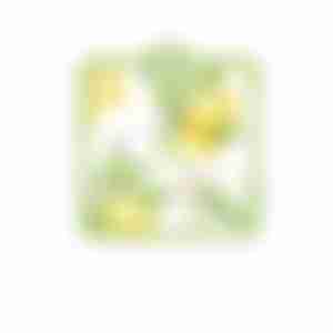 Прихватка для кухни 17х17 Лимоны PH001012