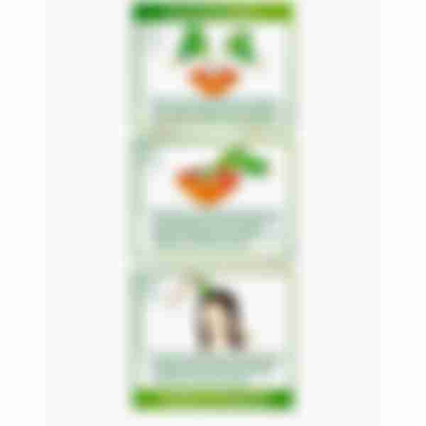 Краска для волос Garnier Color Naturals, тон: 5.23 Пряный каштан, 110мл