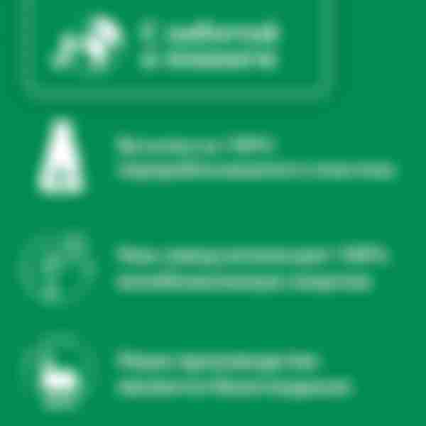 Средство чистящее Сомат Duo Power для посудомоечных машин, 250 мл