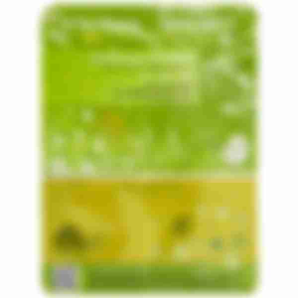 Jayeon Mapping Маска для лица с улиточным муцином Snail Essence Mask, 23мл