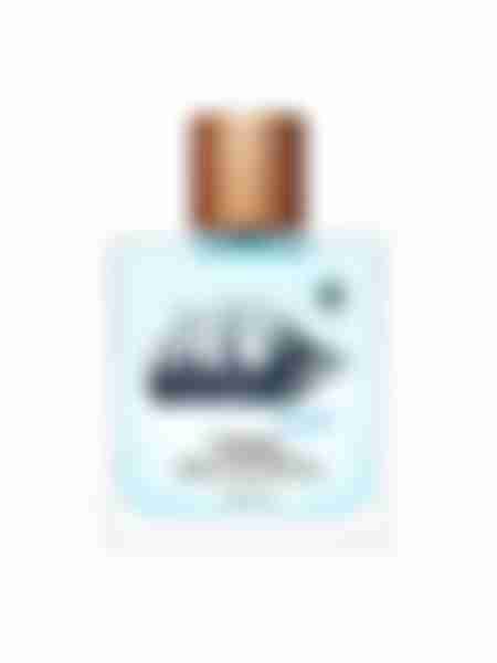 Туалетная вода мужская Brocard Terra Incognita Blue, 100мл