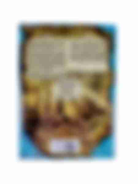 Туалетная вода мужская Brocard Terra Incognita Blue, 100мл