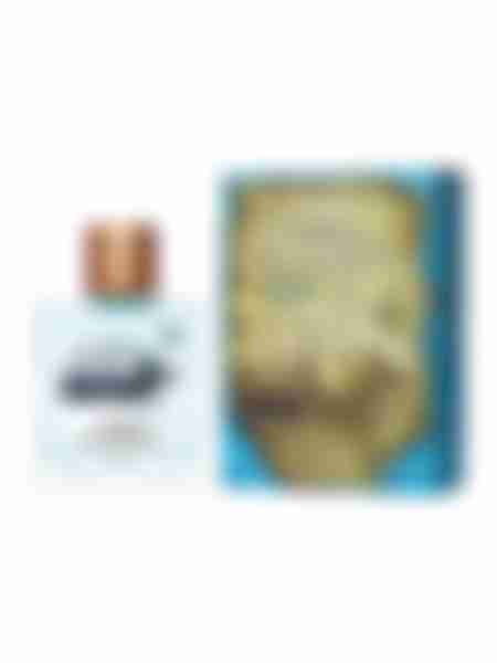 Туалетная вода мужская Brocard Terra Incognita Blue, 100мл