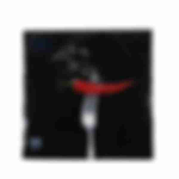 Бумажные салфетки Bouquet Hot chili, трехслойные, 20шт, 33х33см