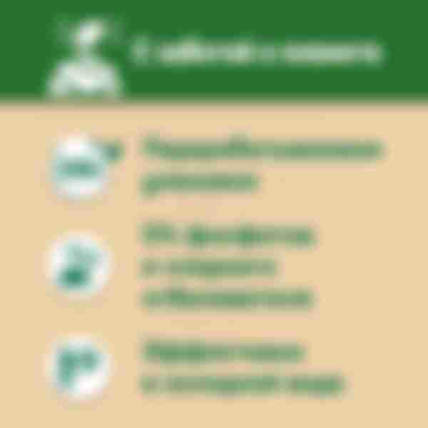 Капсулы для стирки Персил Power Caps Color 4in1, 10шт