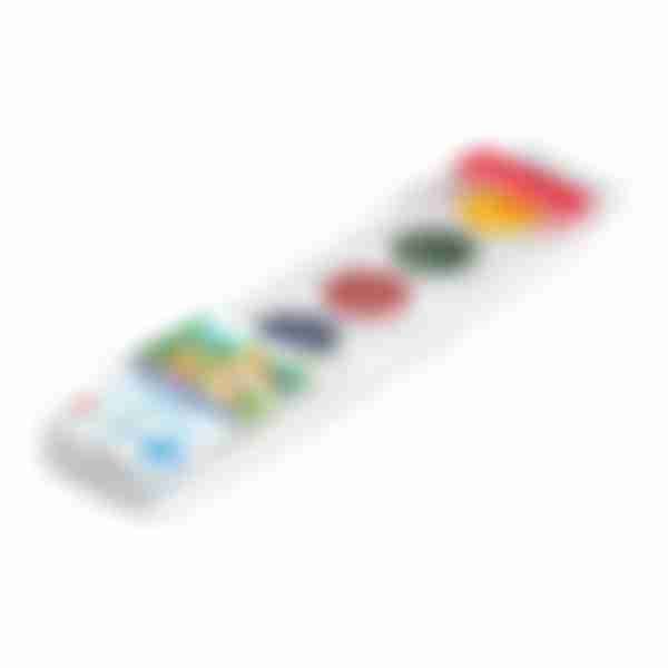 Краски акварельные ErichКrause Basic, 6 цветов