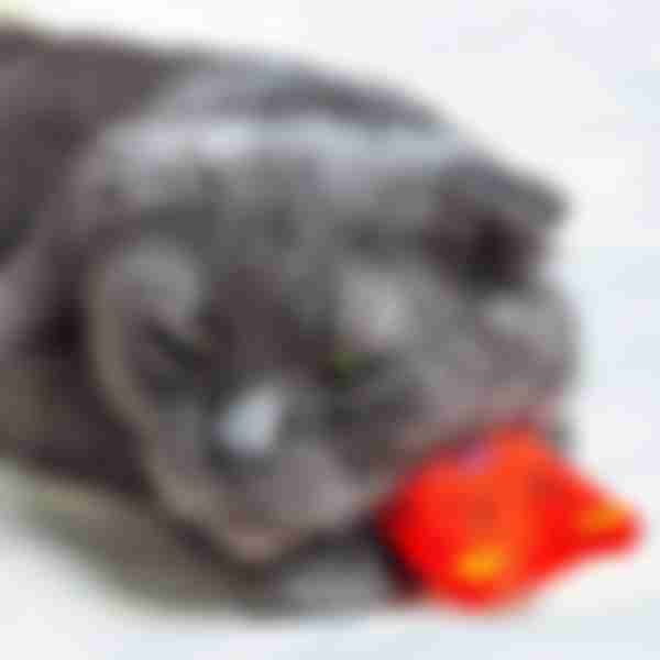 Игрушка для кошек мягкая Котик, 14см
