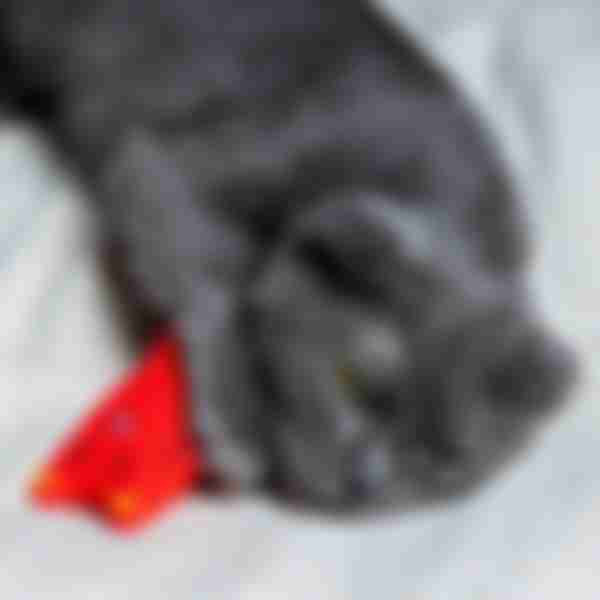 Игрушка для кошек мягкая Котик, 14см