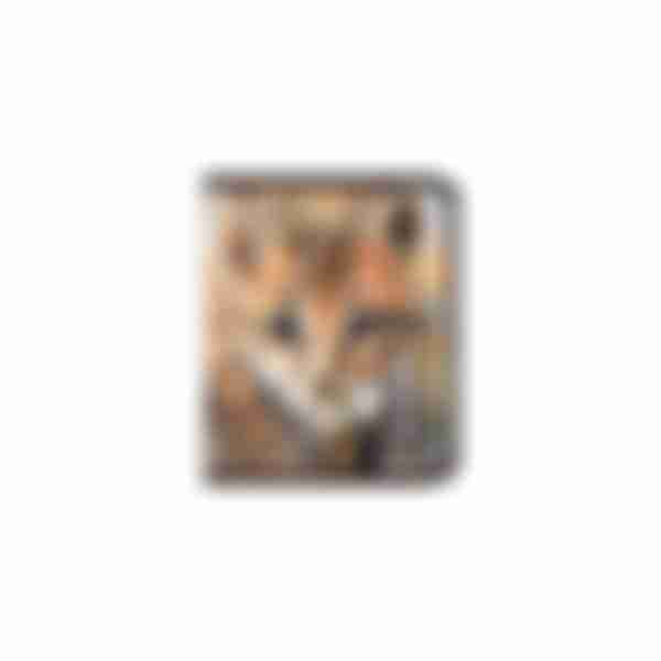 Папка для тетрадей на молнии пластиковая ErichKrause Wild Cat, A5+