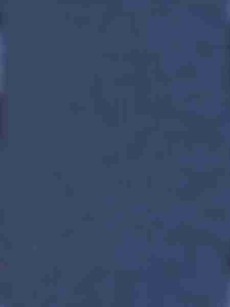 MINI COTONE 1202 однотонный Jeans 35/38