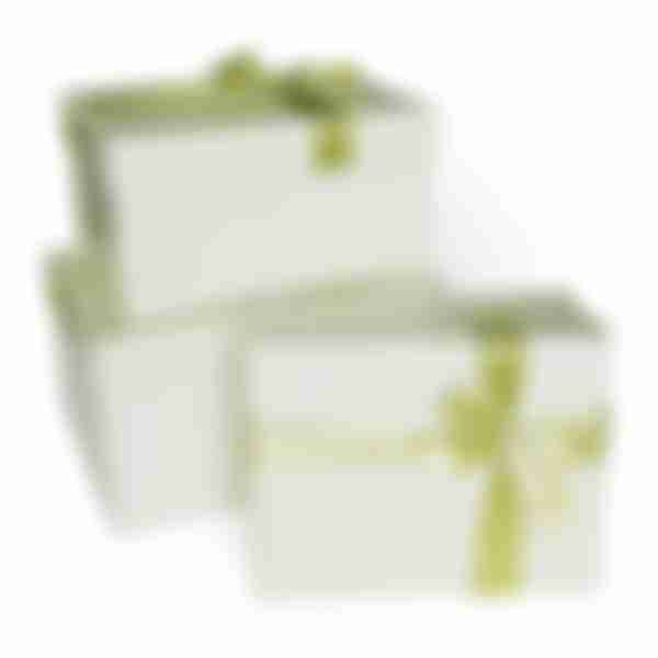 Коробка подарочная с бантом 21x17x11см, цвет: салатовый матовый