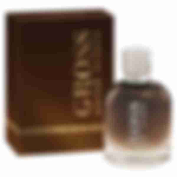 Туалетная вода мужская Christine Lavoisier Gross Amber Intense, 100мл