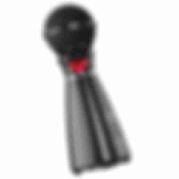 Микрофон-колонка караоке Hoco BK6, Bluetooth, цвет: Black