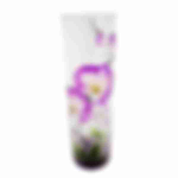 Ваза стеклянная Flora Орхидея ночь, 25.5см