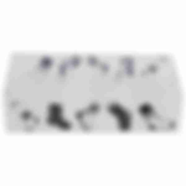 Коробка для белья, 6 ячеек, пластик, с принтом, 30*15*7см