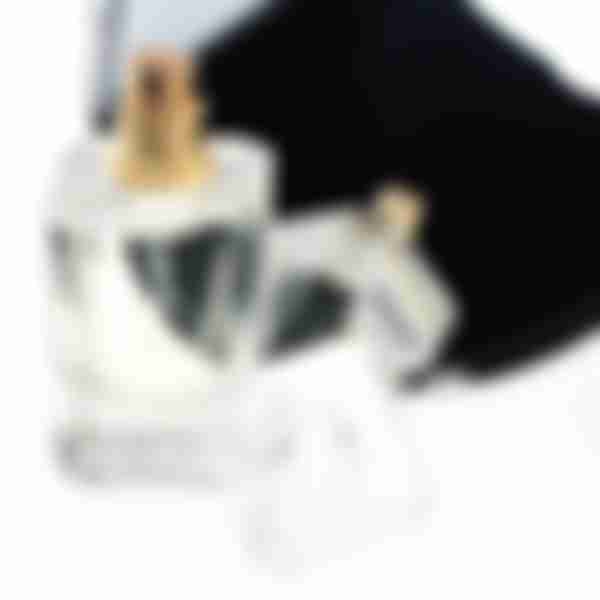 Парфюмерная вода для женщин Parfums Constantine Bohemia Ice Queen, 50мл