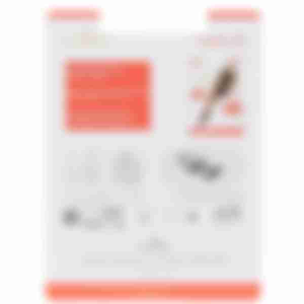 Колготки женские Glamour Tiamo, 20 ден, размер: 5, цвет: miele