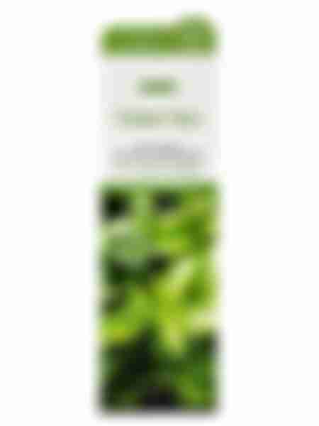 Пенка для умывания Jigott Green Tea, 180 мл