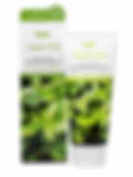 Пенка для умывания Jigott Green Tea, 180 мл