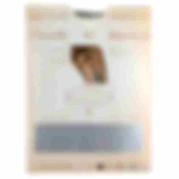 Чулки женские Pierre Cardin Chantilly, 40 ден, размер: 2, цвет: bronzo