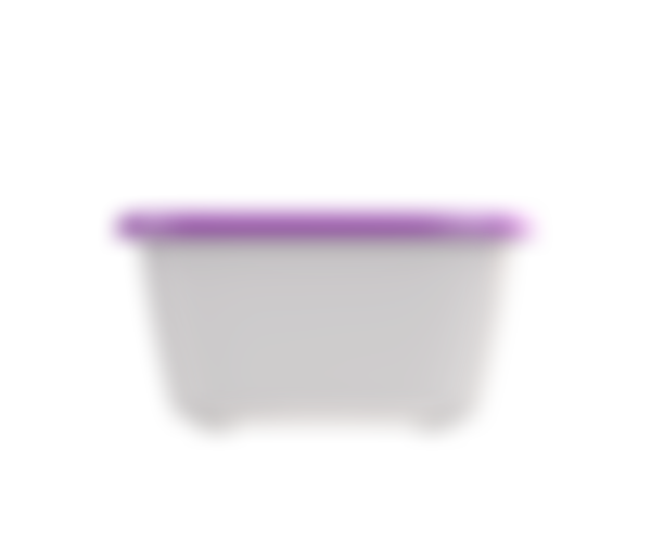 Контейнер для продуктов Прованс 1,0л