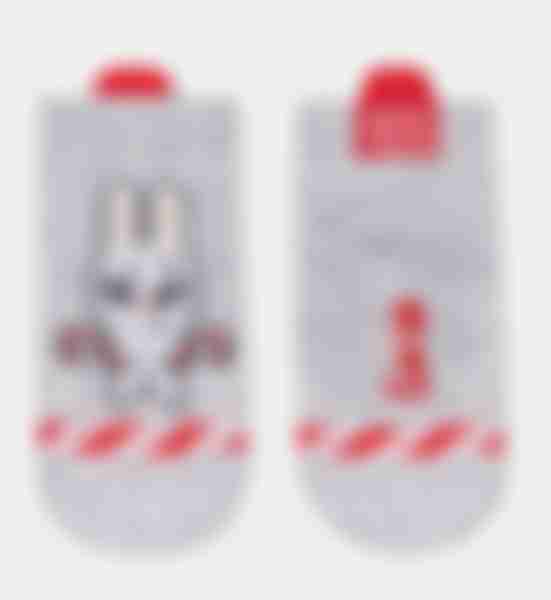 Носки детские CONTE-KIDS NEW YEAR,  21С-64СП, р.11-12 рис. светло-серый,907