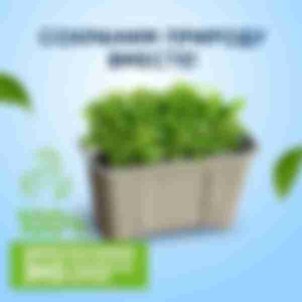 Капсулы для стирки Sorti Color, 10шт