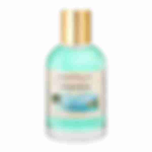 Парфюмерная вода женская Christine Lavoisier Memories_lab Ocean Bliss, 100мл
