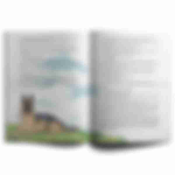Книга Овчарка Мухтар Четвероногий спасатель