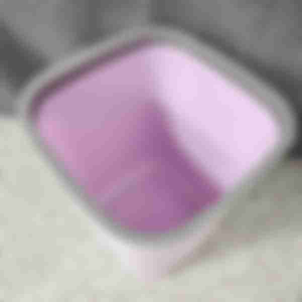 Ведро для мусора Sanitary, без крышки, 10л, 23х24х27.5см, цвет: purple