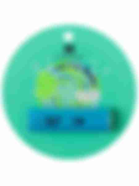 Бальзам для губ Holly Polly Sweet Mint, 4.8г