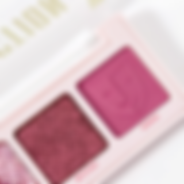 Палетка теней для век Parisa Cosmetics Cult of perfection, 5 цветов, тон: 01 drama