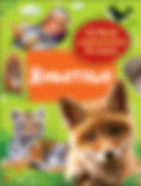 Книга  Первая энциклопедия малыша Животные 40702