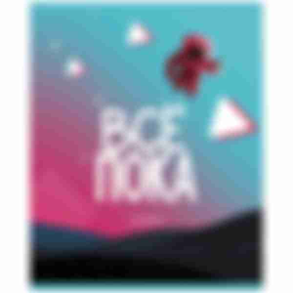 Тетрадь клетка BG TicTok, в ассортименте, 48л