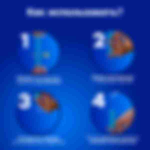 Тампоны Tampax Compak, с аппликатором, regular 2 капли из 4, 16шт