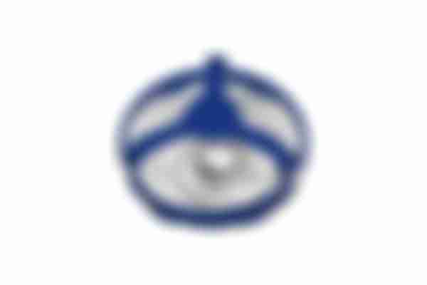 Фитнес инвентарь  Шейкер 0,5 л. синий SF 0508