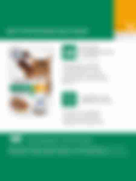 Корм влажный Perfect Fit для стерилизованных кошек, курица в соусе, 75г