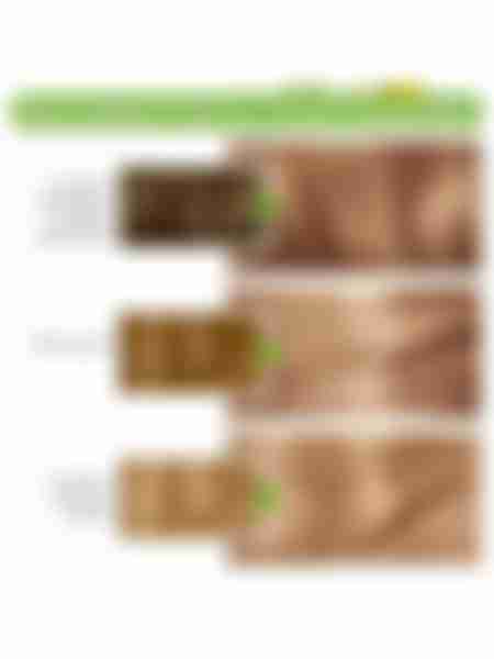 Крем-краска для волос Garnier Color Naturals, стойкая, питательная, тон: 8 Пшеница, 112мл