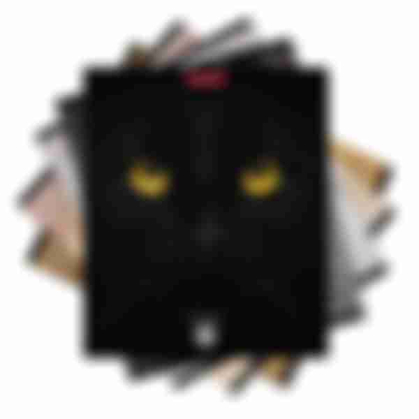 Тетрадь клетка матовая ламинация ErichKrause Cats, в ассортименте, 96л