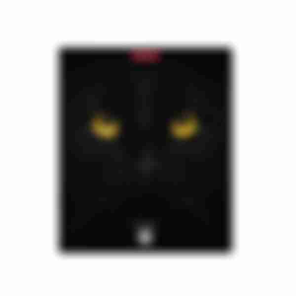 Тетрадь клетка матовая ламинация ErichKrause Cats, в ассортименте, 96л