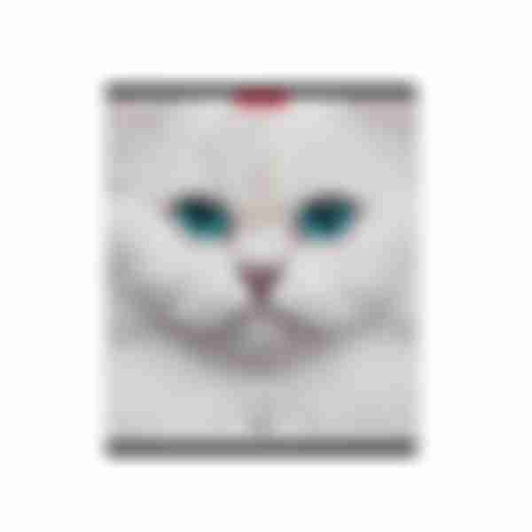 Тетрадь клетка матовая ламинация ErichKrause Cats, в ассортименте, 96л
