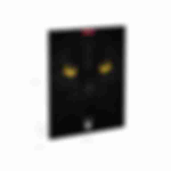 Тетрадь клетка матовая ламинация ErichKrause Cats, в ассортименте, 96л