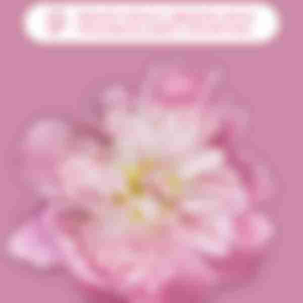 Мыло туалетное BioMio Vegan-Soap Aromatherapy Пион и пальмароза, в коробке, 90 г