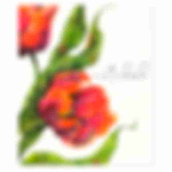 Тетрадь клетка Beautiful Tulips, 48л