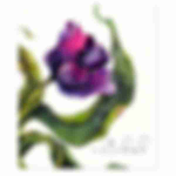Тетрадь клетка Beautiful Tulips, 48л
