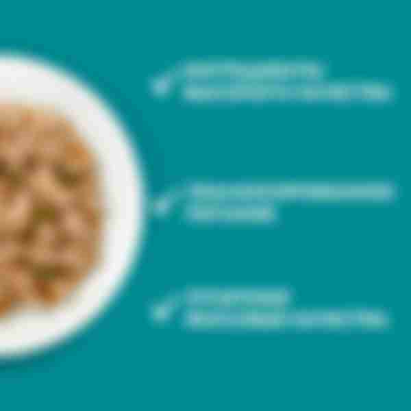 Влажный корм для взрослых кошек Purina One, с говядиной и морковью, 75г