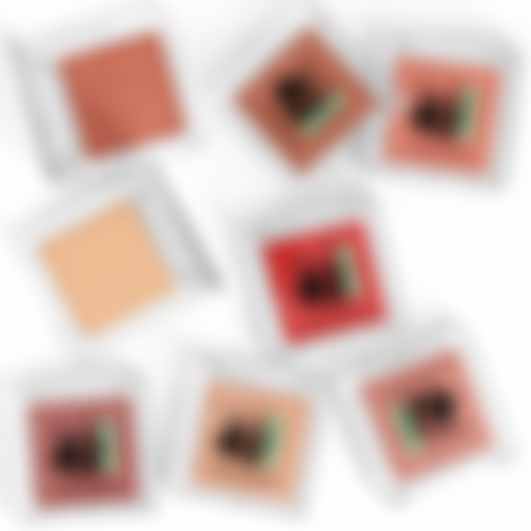 Румяна для лица Parisa Cosmetics Base 4U Silky Powder Blush, тон: 03 Brown matte, 5.2 г